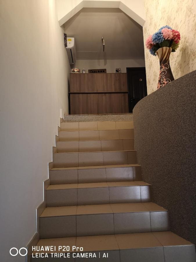 Casa Hortensia Tasnad Εξωτερικό φωτογραφία