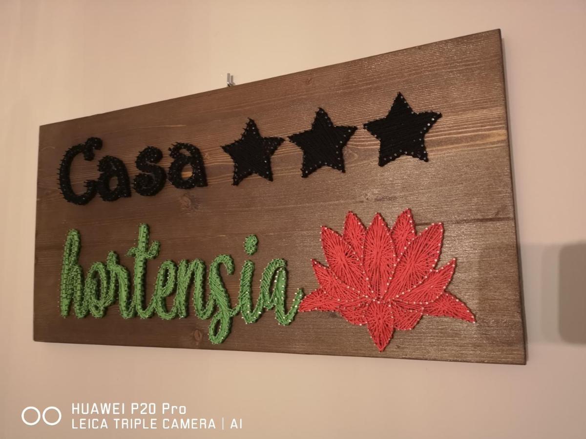 Casa Hortensia Tasnad Εξωτερικό φωτογραφία
